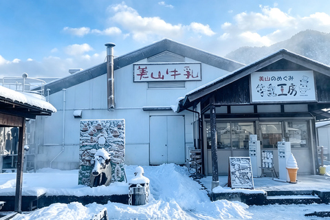 Osaka: Amanohashidate, Ine Cruise & Miyama Village From Osaka (Basic Package)