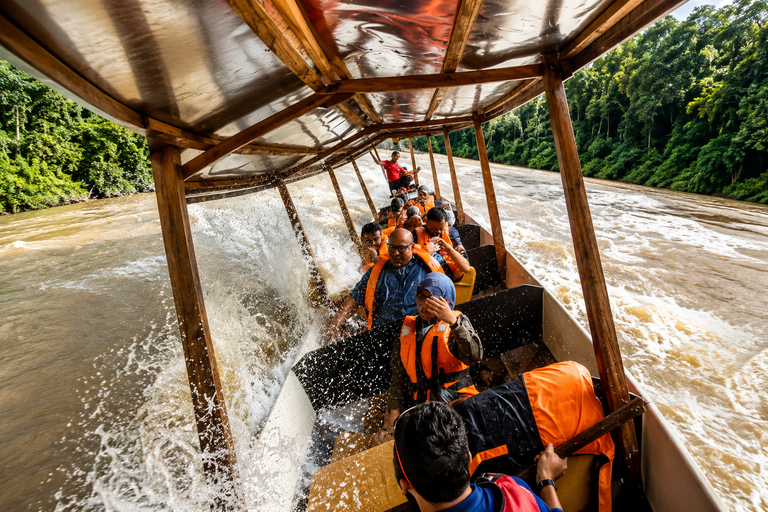 From KL: Taman Negara & Cameron Highlands (3D2N) Tour Taman Negara Canopy & Cameron 3D2N
