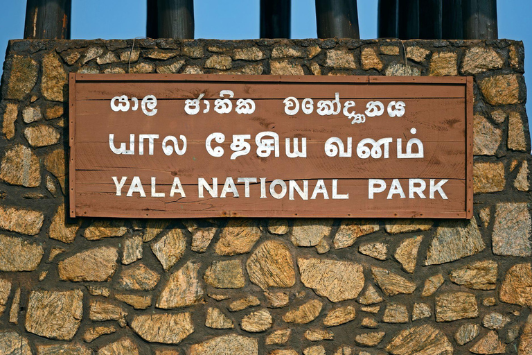 All Inclusive Yala Leopard Safari from Colombo, Ella & Galle