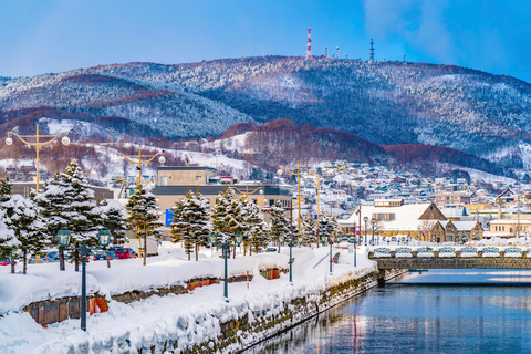 Au départ de Sapporo : 10 heures d'excursion privée personnalisée à Otaru