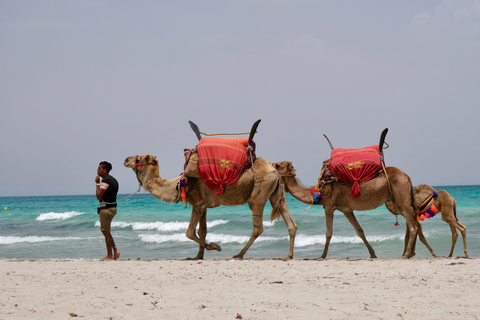 Djerba 1H30 Przejażdżka na wielbłądzie