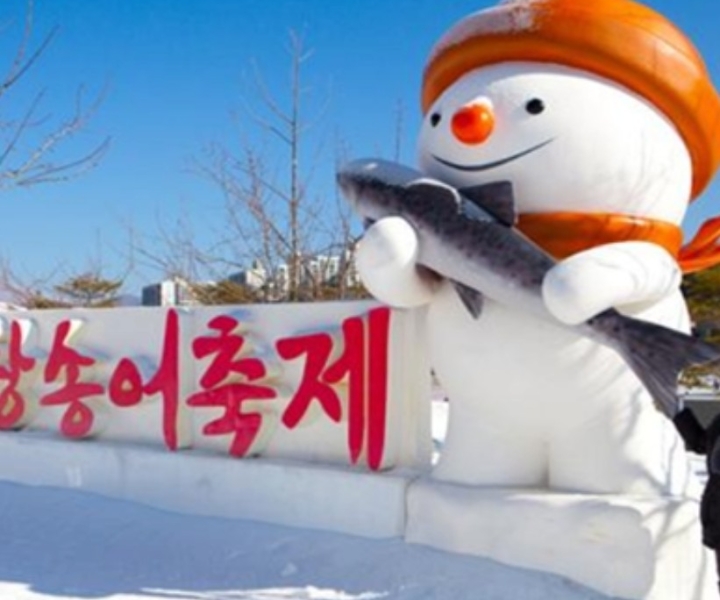 Aus Seoul: Forellenfestival in Pyeongchang