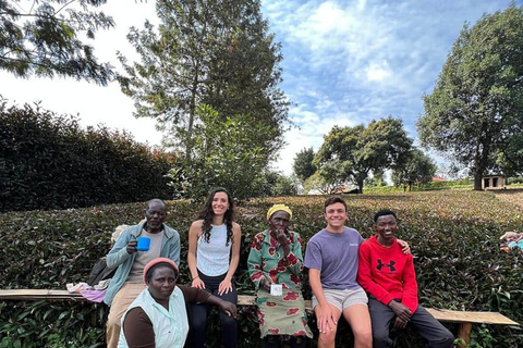 Nairobi: Purple Tea Farm Tour & Tasting Daytrip