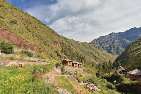 Cusco: 3-Day Ayahuasca Retreat with Meditation