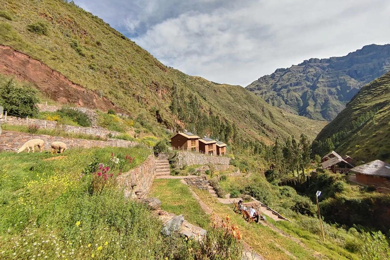 Cusco: 3-Day Ayahuasca Retreat with Meditation