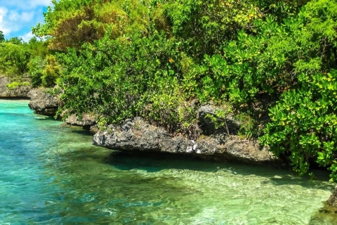 Maurice : excursion d'une journée sur 5 îles avec déjeuner et transfert
