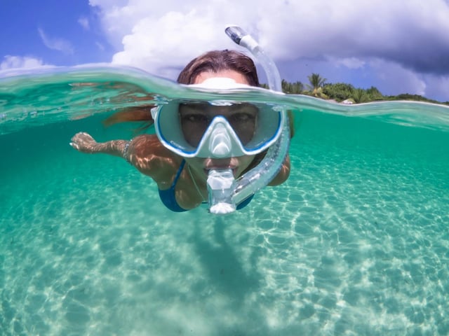 Guided Snorkel in Barcelona Beach