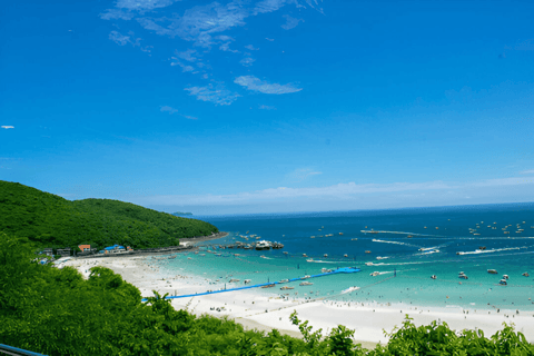 From Bangkok: Koh Larn Island Private Day Tour