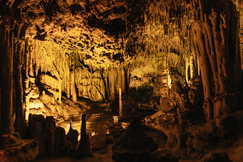 Porto Cristo: Cuevas dels Hams Ticket de entradaMallorca: visita a las Cuevas dels Hams