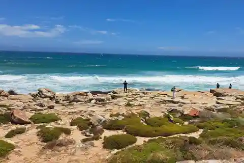 Au départ du Cap : visite jounée privée de la péninsule du Cap