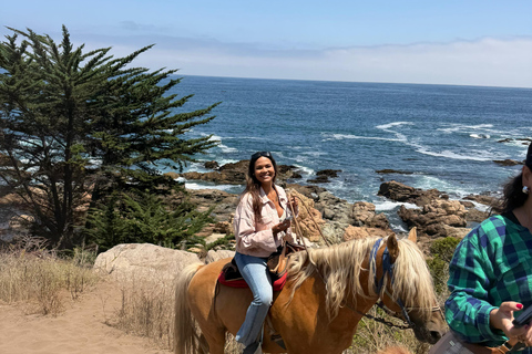 From Santiago: Papudo Lobos Island Boat & Horseback Ride