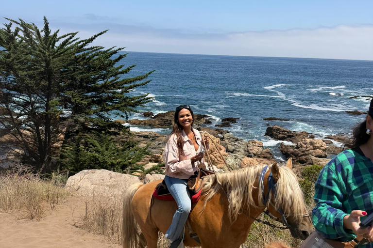 From Santiago: Papudo Lobos Island Boat & Horseback Ride