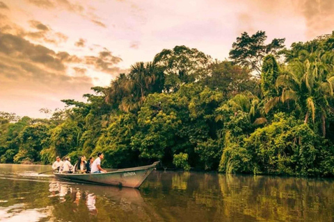 TAMBOPATA SAFARI ANIMALS (3 DAYS – 2 NIGHTS)