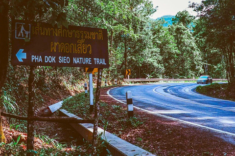 Chiang Mai: Doi Inthanon nationalpark och Pha Dok Siew Trek