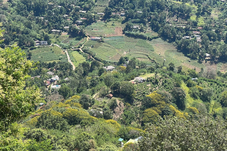 From South Coast Sri Lanka: 3-Day Tour via Ella & Kandy