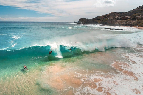From Waikiki: Circle Island Tour