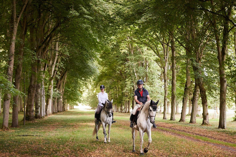 Versailles: Tour and Horseback Riding
