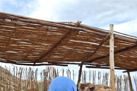 Tamri: Quad Biking, Camel Ride, and Dinner Show