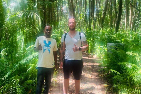 Zanzibar: Masingini Forest Hike and Herbal Healing Tour