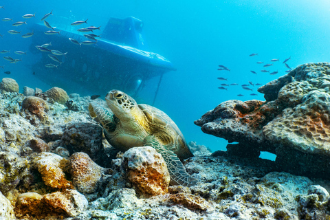 Triolet: U-Boot-Tauchgang mit HoteltransferTriolet: U-Boot-Tauchgang mit Hotel-Transfer