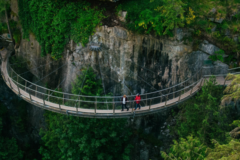 Vancouver: City Tour with Capilano Bridge and Stanley Park