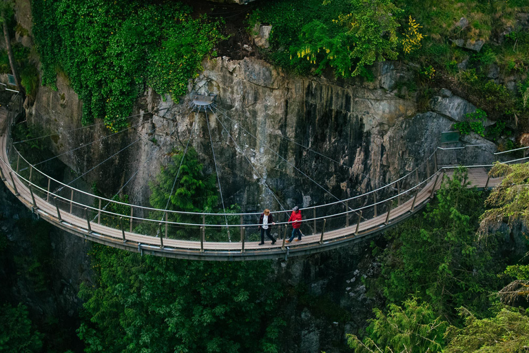 Vancouver: City Tour with Capilano Bridge and Stanley Park