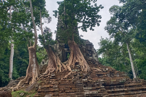 Siem Reap: 4-godzinne zwiedzanie miasta Angkor Thom z przewodnikiem