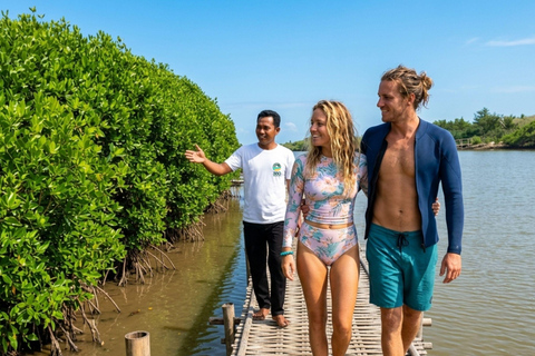 Yogyakarta: Mangrove Canoe, Sandboarding & Sunset Tour Small Group Tour With Hotel Pick Up & Drop Off