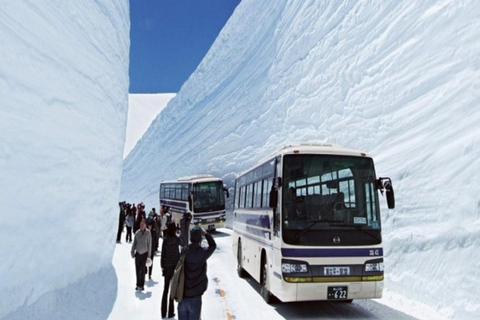 Nagoya: Shirakawa-go, Takayama & Snow Wall 2-Day Tour 2-3people per room