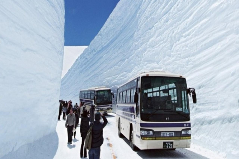 Nagoya: Shirakawa-go, Takayama & Snow Wall 2-Day Tour 1 person 1 room