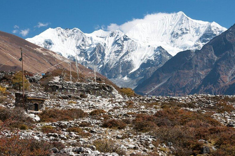 Vanuit Kathmandu: 8 Dagen Langtang Vallei Trek