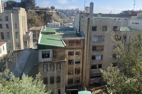 Valparaíso & Viña: Coastal Experience & Kayak