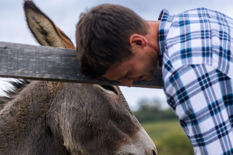 Alba (Grinzane Cavour): Vineyard, Winery, and Tasting Tour Full tour and tasting of 4 wines - Alba near Grinzane Cavour