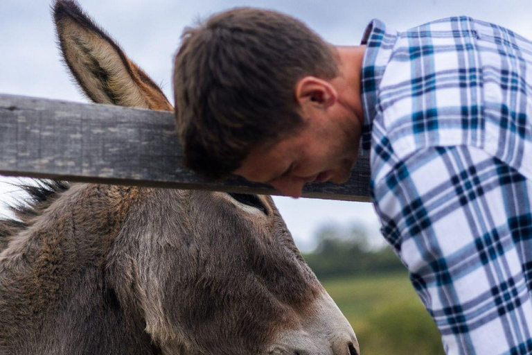 Alba (Grinzane Cavour): Vineyard, Winery, and Tasting Tour Full tour and tasting of 4 wines - Alba near Grinzane Cavour
