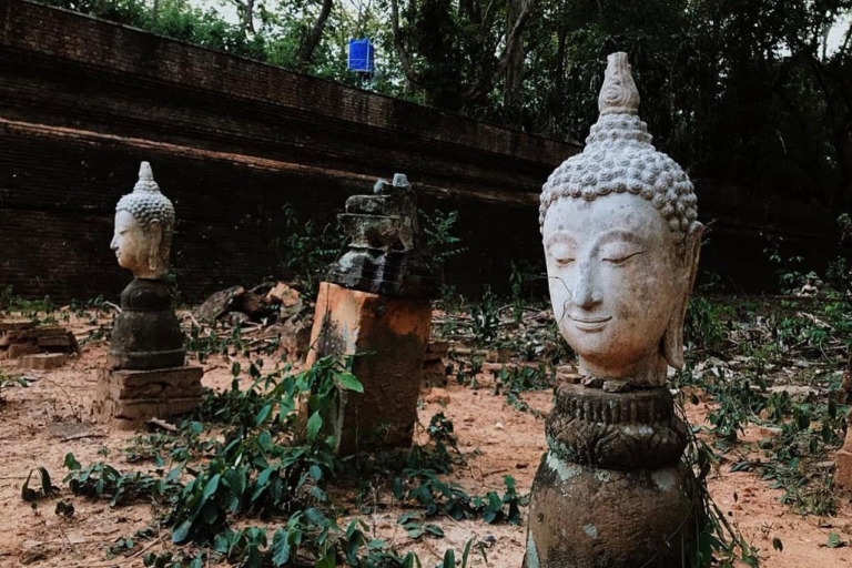Chiang Mai After Dusk: Doi Suthep & Wat Umong Twilight Tour