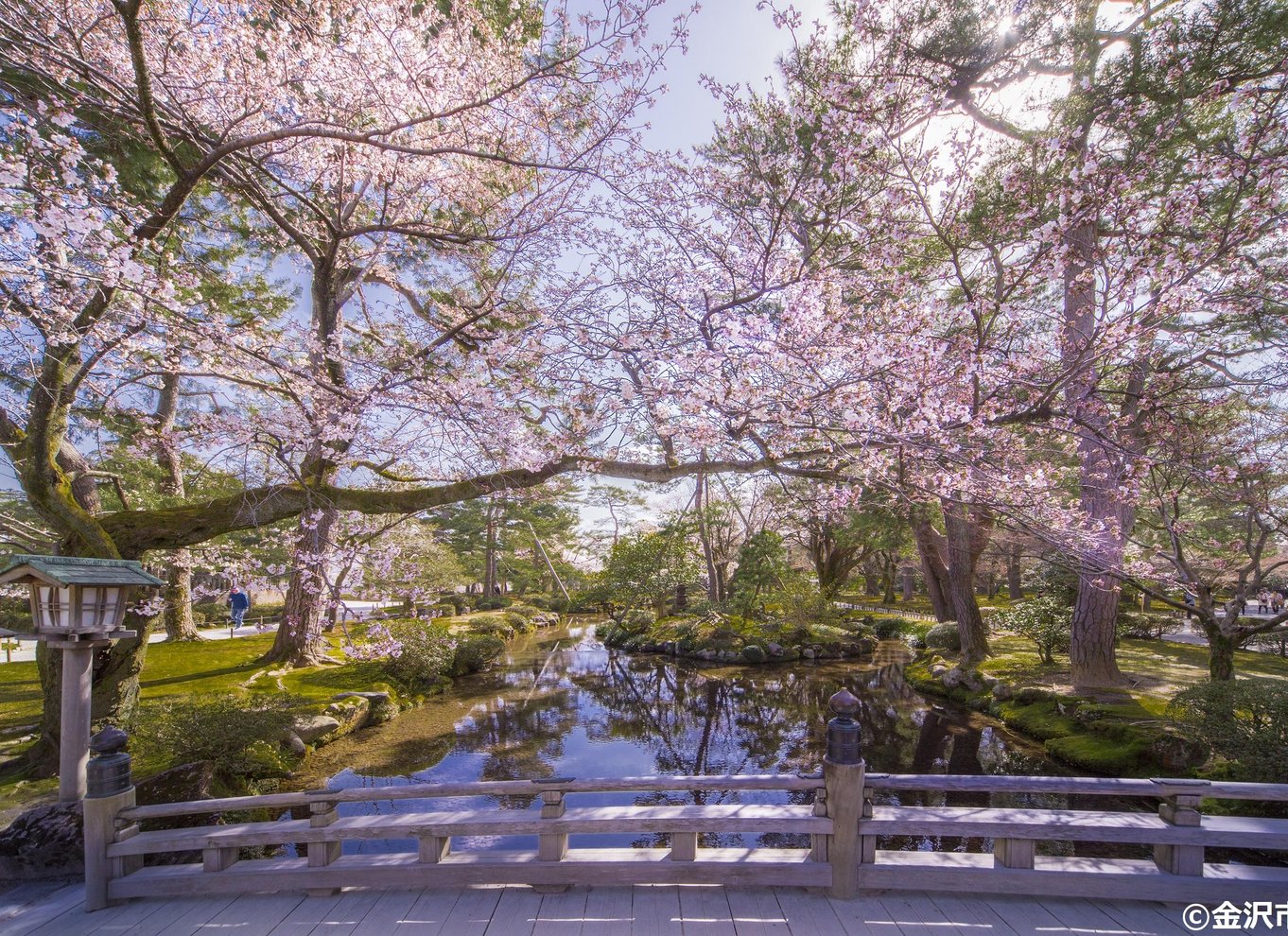 Guidet E-Bike og byvandring i KANAZAWA Main & KENROKUEN