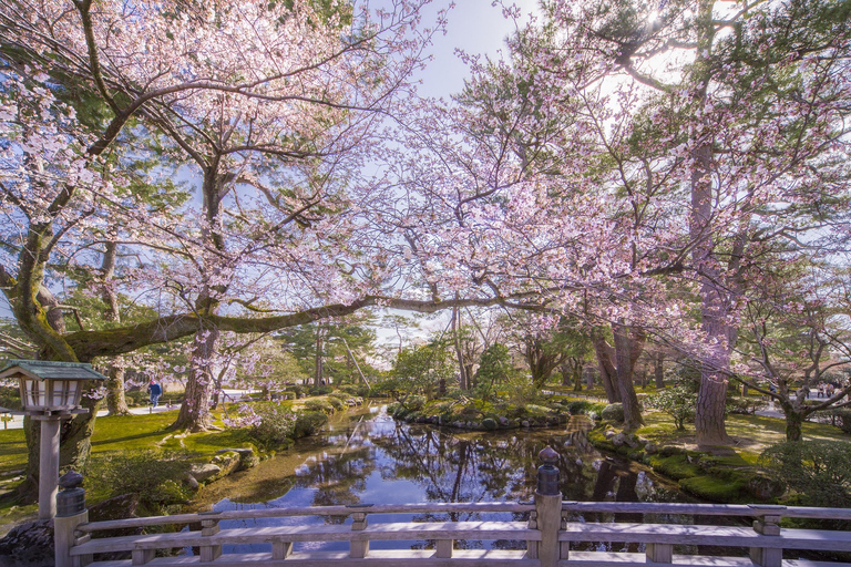 E-Bike Cycling with Guided Tour of Kanazawa Main & Kenrokuen