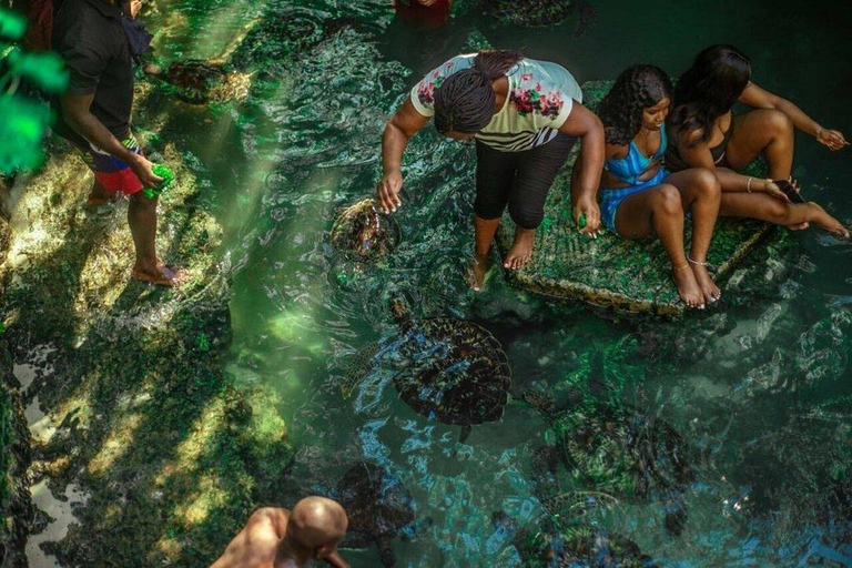 Kryddgårdsrundtur, Jozani-skogen, Salaam-grottan och Mtende-stranden