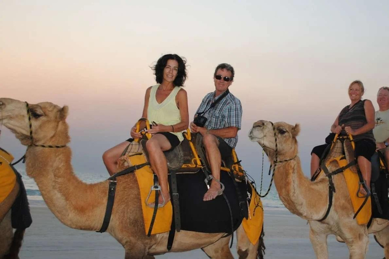 Agadir: Camel Ride by Souss River with Hotel Pickup