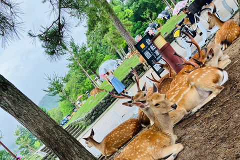 De Kobe: Nara Tour particular de carro com serviço de busca no hotel