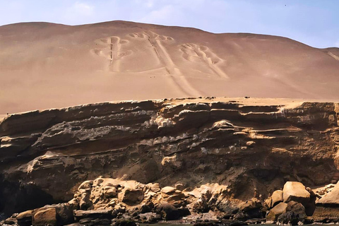 Lima: One Night at Huacachina Oasis - Nazca Lines - Buggy Tour - Paracas 2 Days Lima: A Night Oasis Huacachina-Nazca Lines-Buggy Tour-Paracas 2 Days