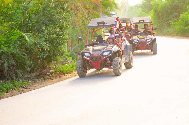 Vip Buggy Cart Deep South VIP Buggy | GetYourGuide