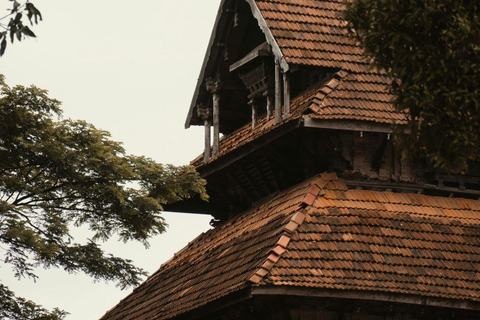 Kochi: Full-Day tour with Temple, Farming & Village Life