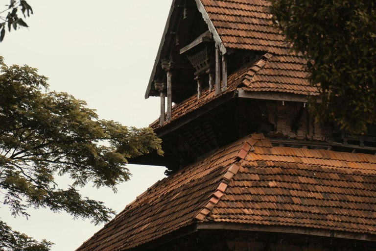 Kochi: Full-Day tour with Temple, Farming & Village Life