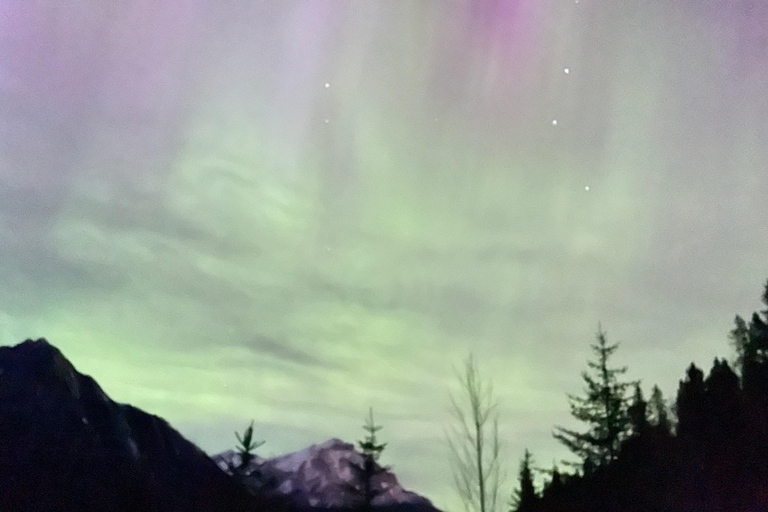 Banff Night Sky: Northern Lights and/or Stargazing Tour