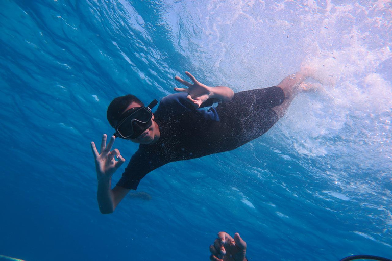 Hurghada: Dive Experience for Beginners or Certified Divers Full-Day Scuba Diving for Certified Divers
