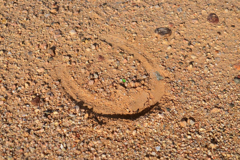 Monument Valley : circuit d&#039;aventure à chevalTour à cheval de 30 minutes