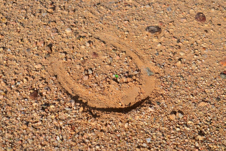 Monument Valley : circuit d&#039;aventure à chevalTour à cheval de 30 minutes