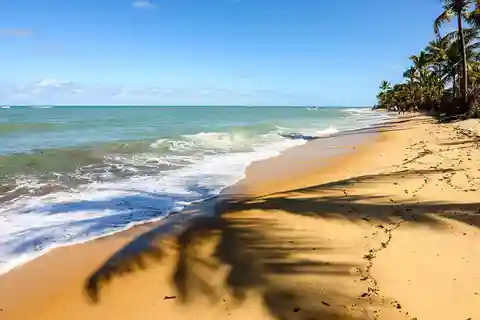 Explorando o Cumbuco: aventura de um dia