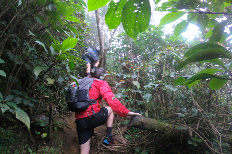 Kandy: Excursión de un Día a las Cascadas y la Aldea Local con Almuerzo